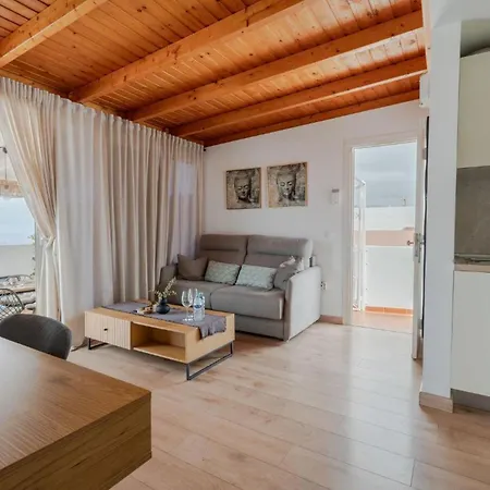 公寓 Atico Con Barbacoa Y Terraza 阿德耶